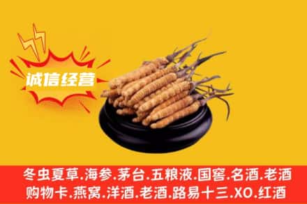 梨树县回收冬虫夏草